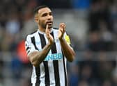 Newcastle United striker Callum Wilson. (Photo by Michael Regan/Getty Images)