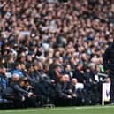 Tottenham Hotspur manager Antonio Conte. (Photo by Ryan Pierse/Getty Images)