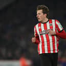 Sheffield United midfielder Sander Berge. (Photo by Michael Regan/Getty Images)