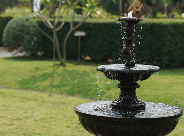 Five garden features which could affect your property’s value - from artificial grass to neglected sheds

