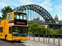 Toon Tour