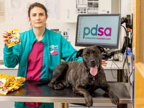 PDSA Veterinary Surgeon Team Leader Clare Sparks with Charlie and a kilo of Mini Eggs at PDSA in Bournemouth