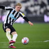 Newcastle United winger Anthony Gordon. Photo by Justin Setterfield/Getty Images)