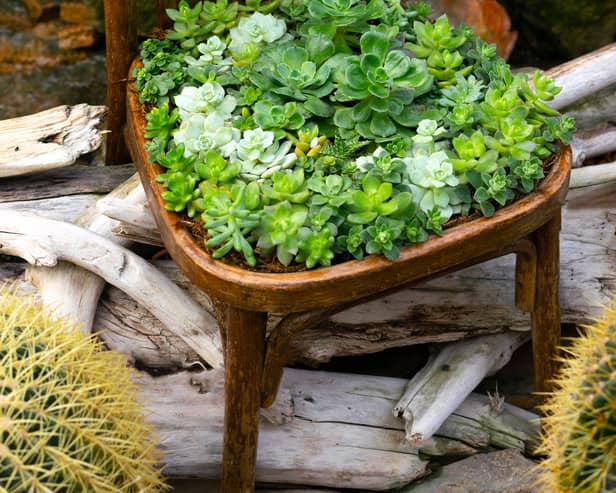 Try eco-friendly garden furniture (photo: Adobe)