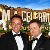 Ant and Dec are hosting I'm A Celebrity All Stars (Pic:Getty)