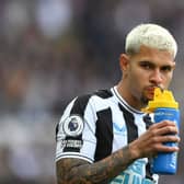 Newcastle United midfielder Bruno Guimaraes. (Photo by Stu Forster/Getty Images)