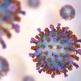 Respiratory syncytial virus (RSV), 3D illustration which shows two types of viral surface spikes. RSV causes common cold.