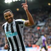 Newcastle United striker Callum Wilson celebrates scoring the third goal against Southampton.