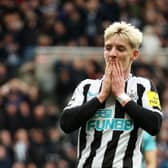 Newcastle United forward Anthony Gordon. (Photo by Matt McNulty/Getty Images)