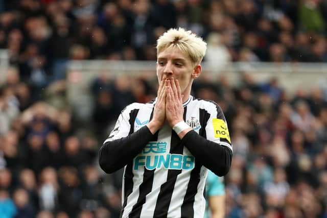 Newcastle United forward Anthony Gordon. (Photo by Matt McNulty/Getty Images)