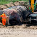 A large whale was found washing up on a British beach this week