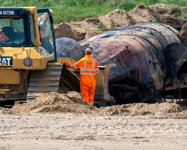 A large whale was found washing up on a British beach this week