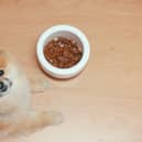 A high-end dog food brand has had two items recalled after sparking choking fears for pets 