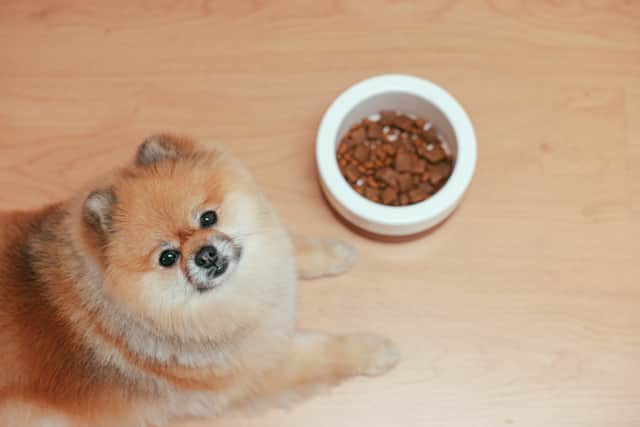 A high-end dog food brand has had two items recalled after sparking choking fears for pets