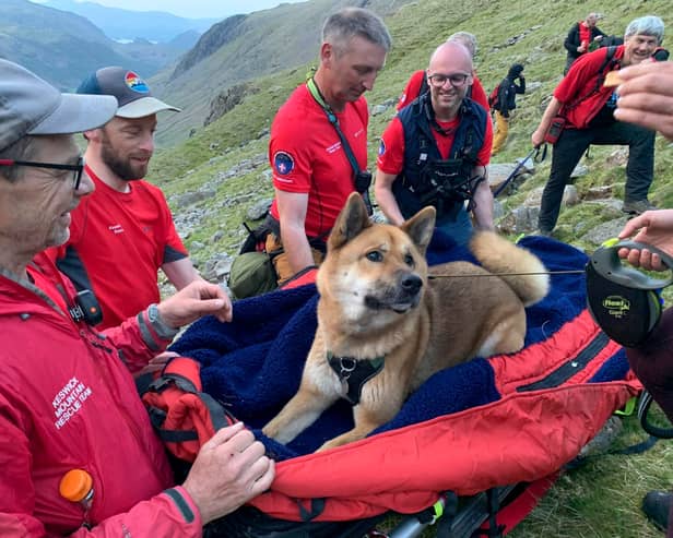 The dog was "positively regal" while being carried down England's highest peak