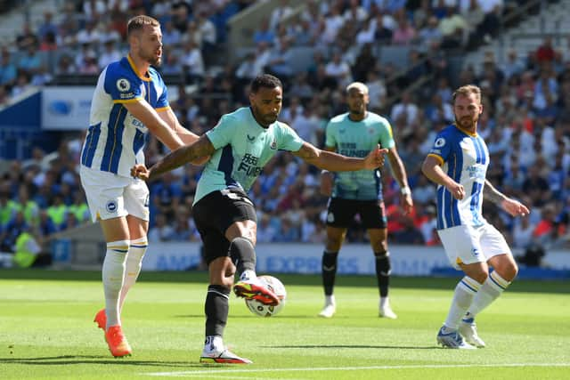 Callum Wilson of Newcastle United shoots under pressure from Adam Webster of Brighton & Hove Albion during the Premier League match between Brighton & Hove Albion and Newcastle United at American Express Community Stadium on August 13, 2022 in Brighton, England. (Photo by Mike Hewitt/Getty Images)