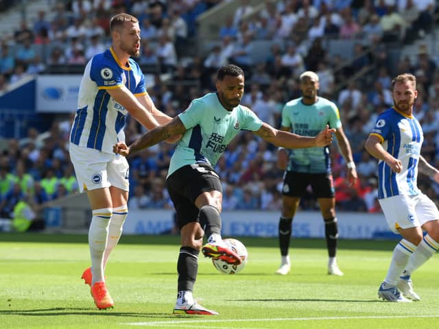 Callum Wilson of Newcastle United shoots under pressure from Adam Webster of Brighton & Hove Albion during the Premier League match between Brighton & Hove Albion and Newcastle United at American Express Community Stadium on August 13, 2022 in Brighton, England. (Photo by Mike Hewitt/Getty Images)