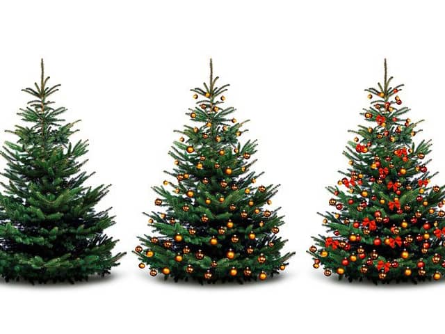 Eco-friendly ways to dispose of your Christmas tree (photo: Shutterstock)