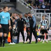 Joe Willock of Newcastle United leaves the pitch after picking up an injury during the Premier League match between Newcastle United and Brighton & Hove Albion at St. James Park on May 18, 2023 in Newcastle upon Tyne, England. (Photo by Stu Forster/Getty Images)