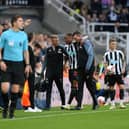 Joe Willock of Newcastle United leaves the pitch after picking up an injury during the Premier League match between Newcastle United and Brighton & Hove Albion at St. James Park on May 18, 2023 in Newcastle upon Tyne, England. (Photo by Stu Forster/Getty Images)