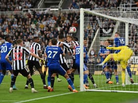 Newcastle United player ratings. d. (Photo by Stu Forster/Getty Images)