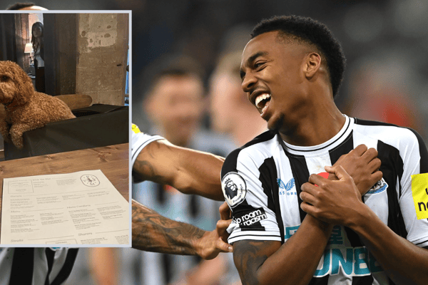 Joe Willock spoils his cockapoo Teddy (Image: Getty / Insta @joewillock)