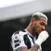Newcastle United midfielder Joelinton.  (Photo by Stu Forster/Getty Images)