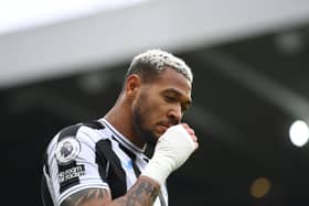 Newcastle United midfielder Joelinton.  (Photo by Stu Forster/Getty Images)