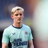 Newcastle United forward Anthony Gordon. (Photo by Alex Davidson/Getty Images)