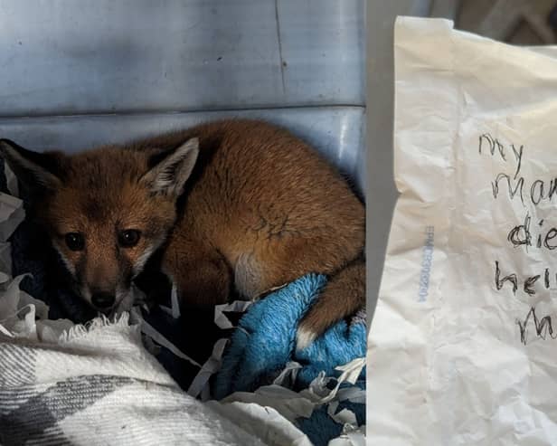 The fox cub was discovered in the village of Langley Moor, Durham in a carrier bag.  Inside there was also a message penned on the back of a paper Greggs bag.