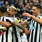 Newcastle United celebrate after winning a match