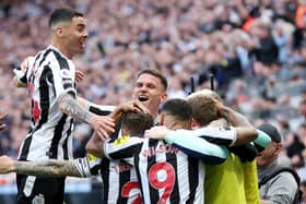 Newcastle United celebrate scoring a goal