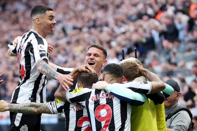 Newcastle United celebrate scoring a goal