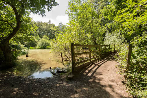 A wooden bridge / walkway helps walkers get over a small pond in Wimbledon Common, London.