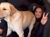 Vicky Pattison asks pet owners to share funny clips after posting hilarious reel walking her own dogs in the rain