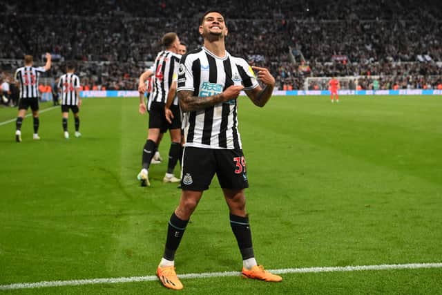 Newcastle United could face a tricky draw but are still more favoured than other sides to life the Champions League trophy (Image: Getty Images)