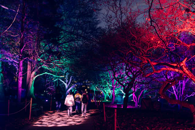 Northern Lights Newcastle will be coming to Leazes Park this Christmas. Photo: Other 3rd Party. 