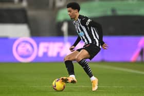 Newcastle United left-back Jamal Lewis. (Photo by Stu Forster/Getty Images)