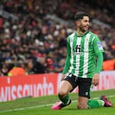Former Newcastle United forward Ayoze Perez has found a new club after being released by Leicester City. (Photo by Shaun Botterill/Getty Images)