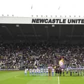 Newcastle United have taken their new signing count to four. (Photo by Stu Forster/Getty Images)