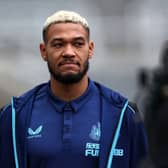 Newcastle United star Joelinton. (Photo by Ian MacNicol/Getty Images)