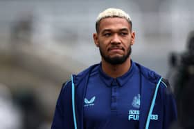 Newcastle United star Joelinton. (Photo by Ian MacNicol/Getty Images)