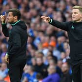 Newcastle United head coach Eddie Howe. (Photo by Mark Runnacles/Getty Images)