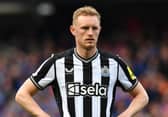 Newcastle United midfielder Sean Longstaff.  (Photo by Mark Runnacles/Getty Images)