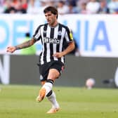 Newcastle United midfielder Sandro Tonali. (Photo by Mike Stobe/Getty Images)