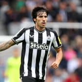 Newcastle United midfielder Sandro Tonali. (Photo by George Wood/Getty Images)