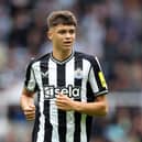 Lewis Miley has impressed for Newcastle United during pre-season.