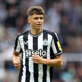 Lewis Miley has impressed for Newcastle United during pre-season.
