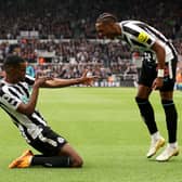 Newcastle United duo Alexander Isak (left) and Joe Willock (right).  (Photo by Clive Brunskill/Getty Images)