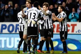 Tim Krul is back in the big time (Image: Getty Images)
